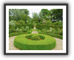 Buxus | Landscaping | Garden